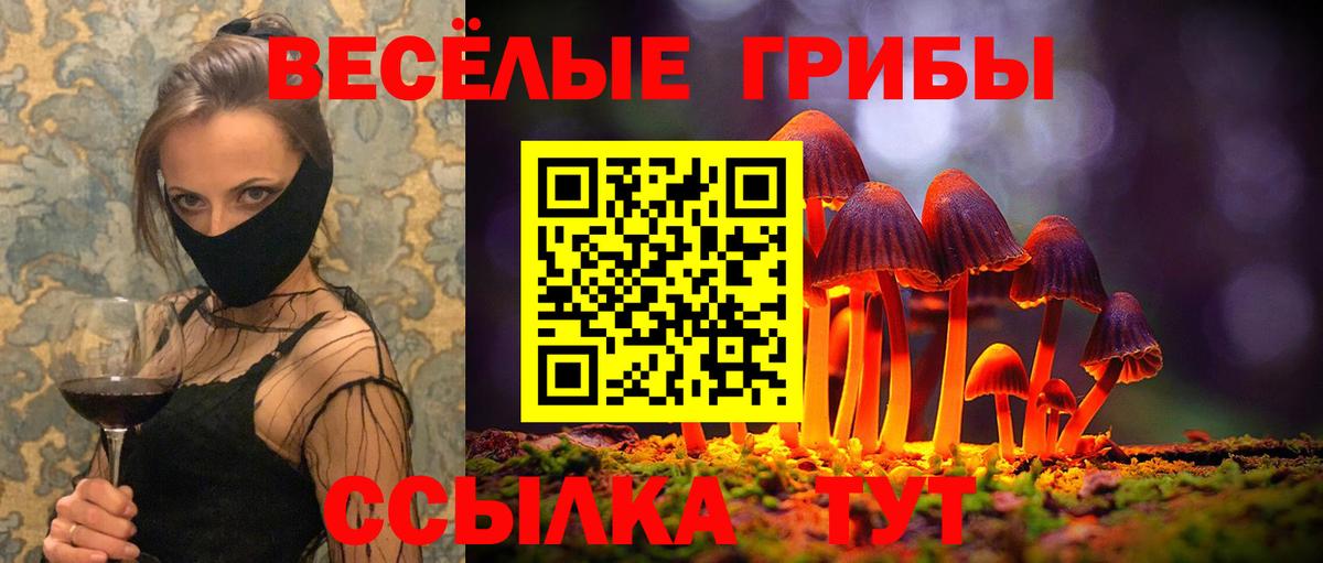 Галлюциногенные грибы Magic Shrooms  Вход с VPN  Ейск  Галлюциногенные грибы MAGIC MUSHROOMS 