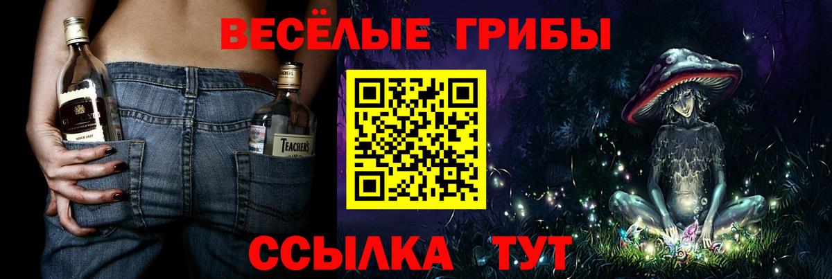 Конопля Ейск